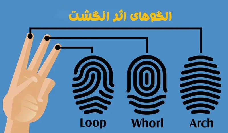 انواع اثر انگشت