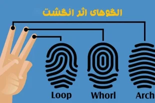 انواع اثر انگشت