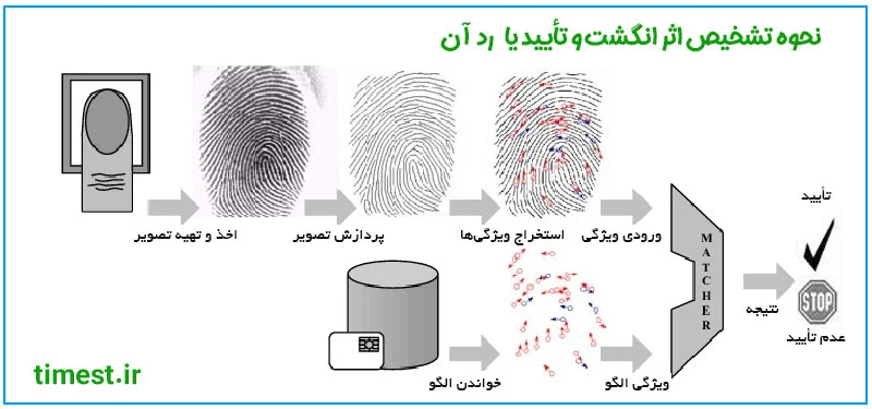 مراحل تشخیص اثر انگشت