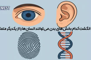به جز اثر انگشت بخشهای دیگری از بدن انسان نیز برای شناسایی بکار می‌روند